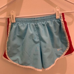 ✔️Blue and Pink Nike Shorts Medium